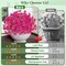 12 Bundles Look Real Artificial Flowers for Outdoors, Realistic Fake Outdoor Flowers, UV Resistant Silk Petunia Flowers for Outside Faux Flowers Plants for Outdoor Porch, Fuchsia